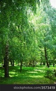 green birch park