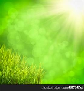 Green blur background with grass and sunlight