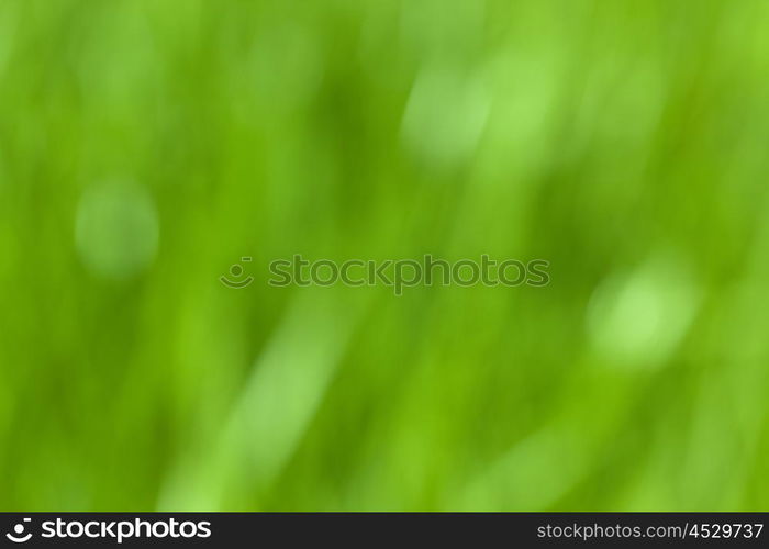 green blured out of focus abstract background