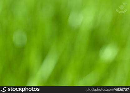 green blured out of focus abstract background