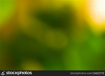 Green blurred abstract background and sunlight angle