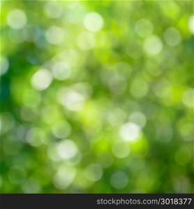 Green blurred background and sun rays.