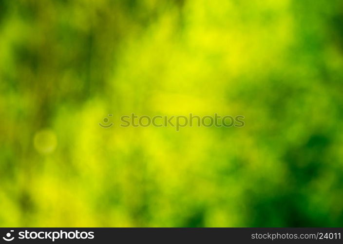 Green blurred background and sunlight