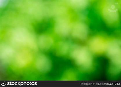Green blurred background and sunlight