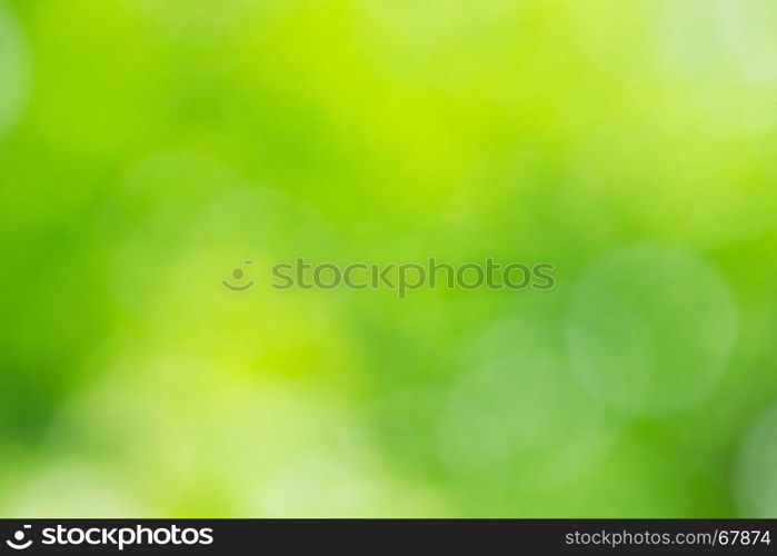 Green blurred background and sunlight