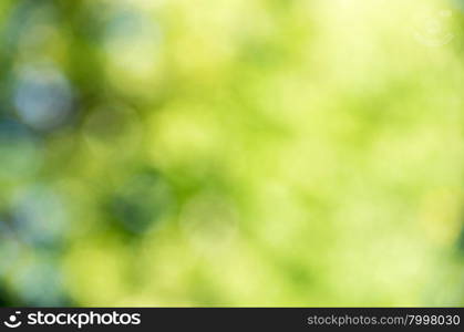 Green blurred background and sunlight