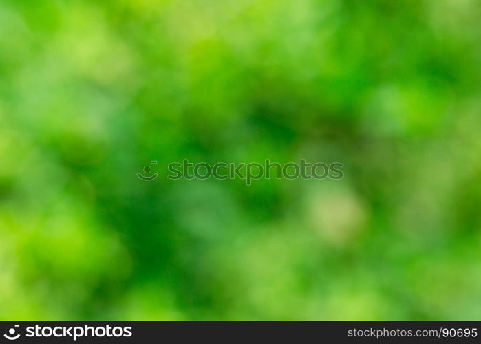 Green blurred background and sunlight