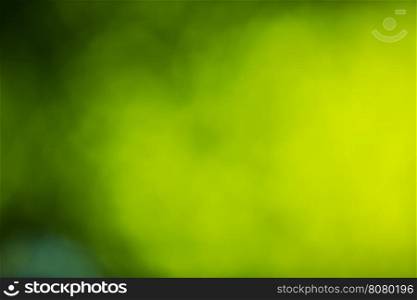 Green blurred background and sunlight&#xA;&#xA;