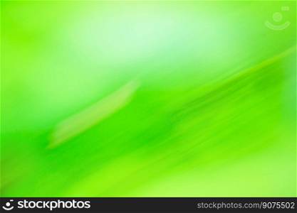 Green blurred background with copy space. Green blurry unfocused photographic effect.. Green blurred motion out of focus background.