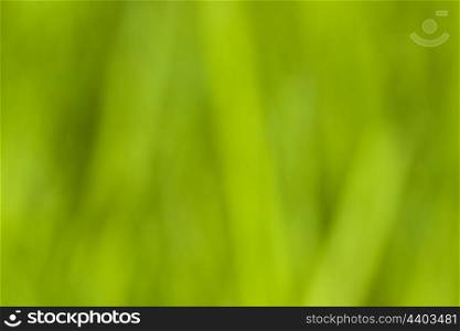 green blurred out of focus abstract background