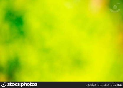 green bokeh abstract light background