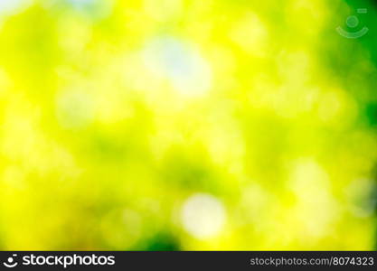 green bokeh abstract light background