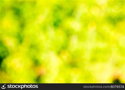 green bokeh abstract light background