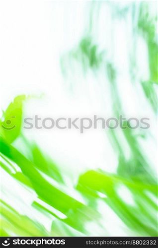 Green bokeh abstract light background. Natural bokeh background. Bokeh green nature background. Beautiful green bokeh