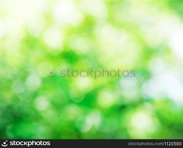 green bokeh background, abstract green bokeh
