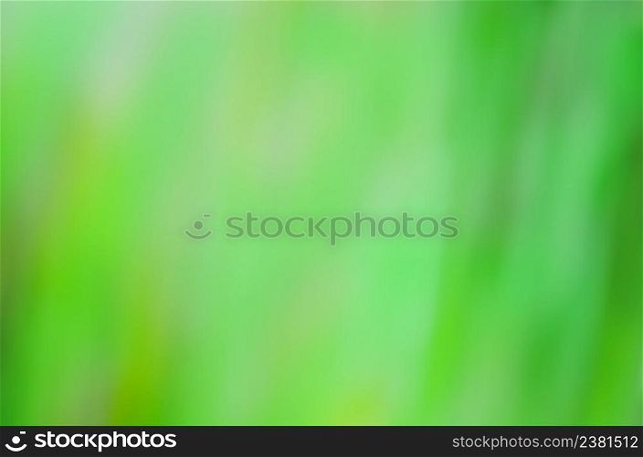 Green bokeh background. Abstract natural green bokeh background. Blurred green leaves bokeh abstract background