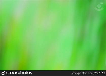 Green bokeh background. Abstract natural green bokeh background. Blurred green leaves bokeh abstract background