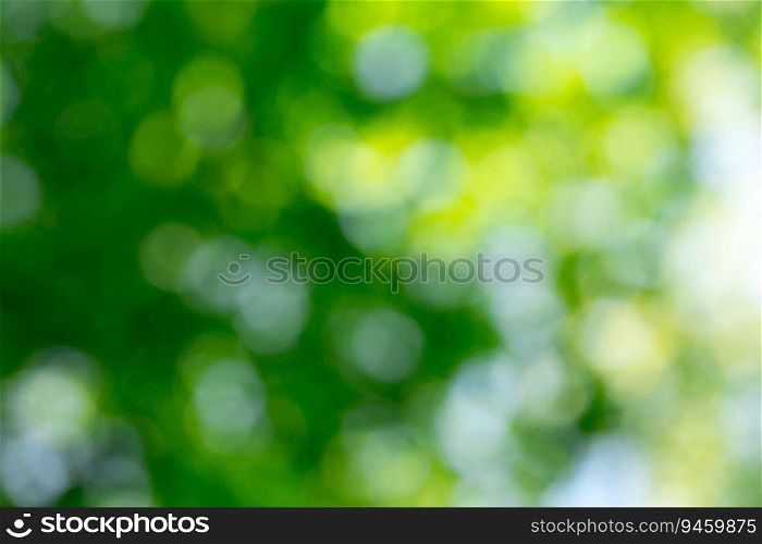 Green bokeh background and sunlight
