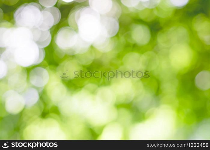 Green bokeh background, Blurred images of nature.