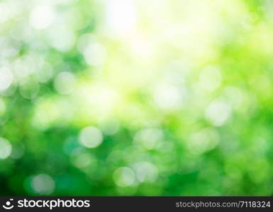 green bokeh background,green bokeh,green bokeh abstract