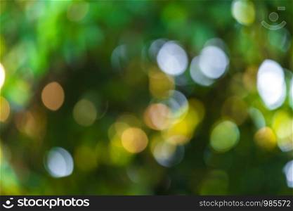 green bokeh background with circles. Summer abstract theme.