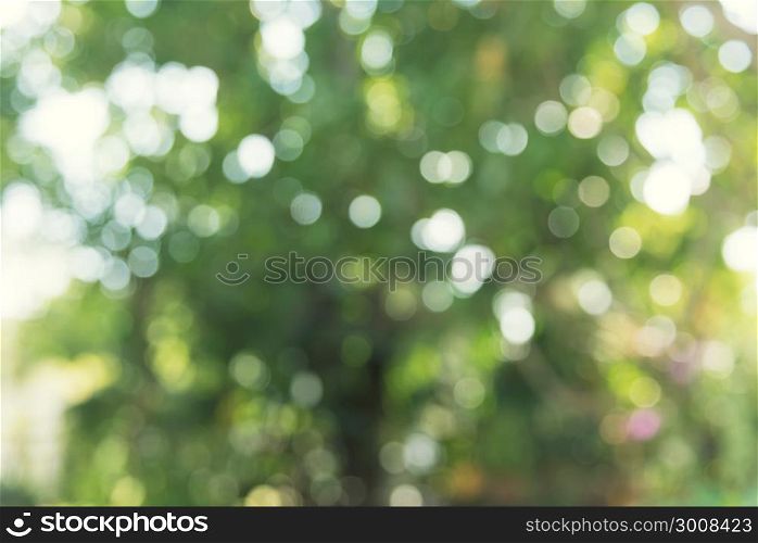 Green bokeh from nature blurred and defocus. Close-up art abstract background. Use backdrop or website background.