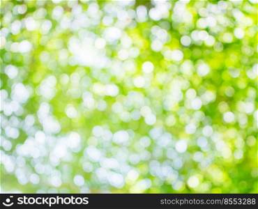 green bokeh light for natural background with space