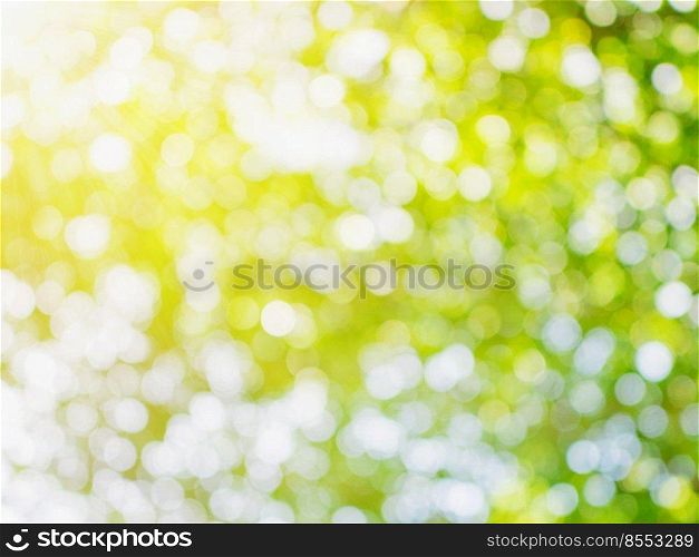 green bokeh light for natural background with space