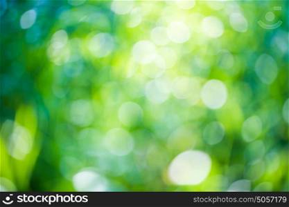 Green bokeh natural background, fresh green trees foliage on bright sunny day, beautiful wallpaper, spring and summer time nature