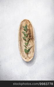 Green branch in wooden bowl on white concrete background, flat lay, top view