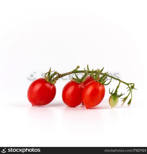 green branch with red ripe cherry tomato on a white background, autumn harvest