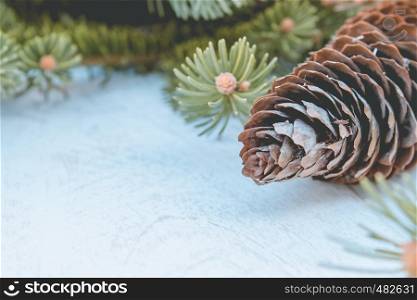Green branches of a Christmas tree and cones on a white board background. Side view with copy space for your text.. Green branches of a Christmas tree and cones on a white board background. Side view with copy space