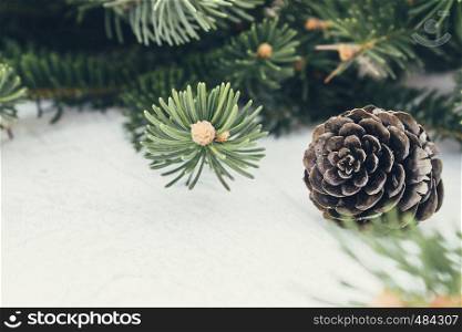 Green branches of a Christmas tree and cones on a white board background. Side view with copy space for your text.. Green branches of a Christmas tree and cones on a white board background. Side view with copy space