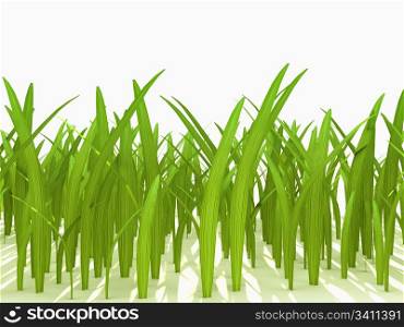 Green bright grass over white. computer generated image