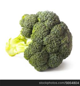 Green broccoli isolated on white background closeup