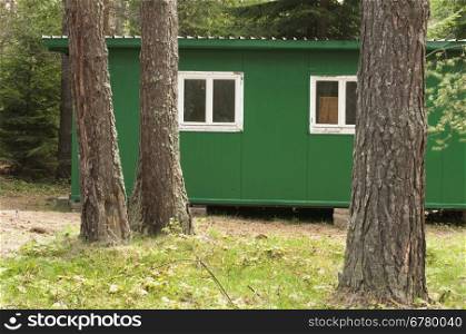 Green bungalow in the forest between the trees
