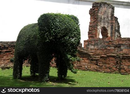 Green bush elephant in Narai palace, Lop Buri, Thailand