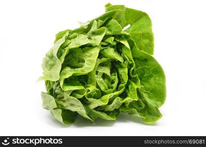 Green butter head lettuce isolated on white