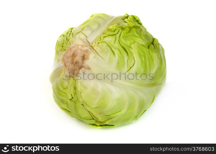 Green cabbage isolated on a white background.