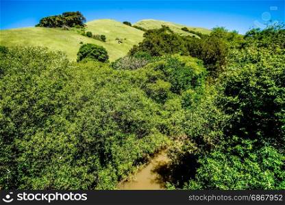 green california hills and mountains in spring
