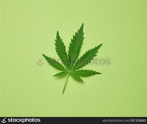 green cannabis leaf on green paper background, top view