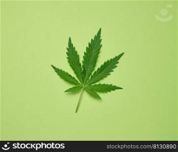 green cannabis leaf on green paper background, top view