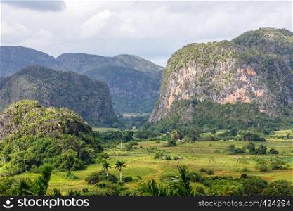 Green caribbean valley with mogotes hills landscape, Vinales, Pinar Del Rio, Cuba