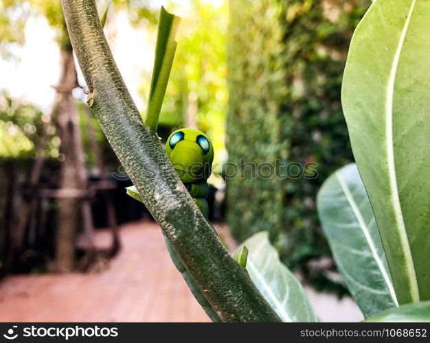 Green Caterpillar of oleander hawkmoth or daphnis nerii with blue dots eating leaves plant in house garden