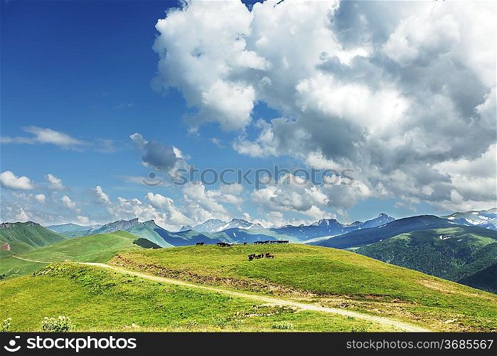 green Caucasus mountains