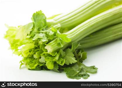 green celery isolated on a white background