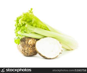 green celery isolated on a white background
