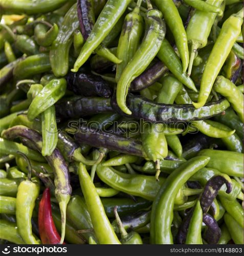 Green Chili Peppers for sale at market, Thimphu, Bhutan
