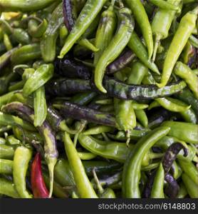 Green Chili Peppers for sale at market, Thimphu, Bhutan
