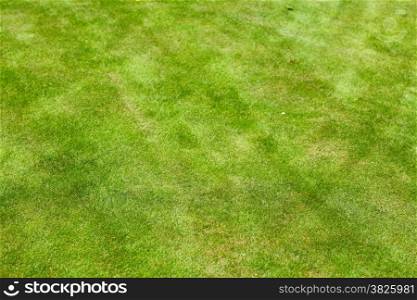 green clean grass field turf texture background